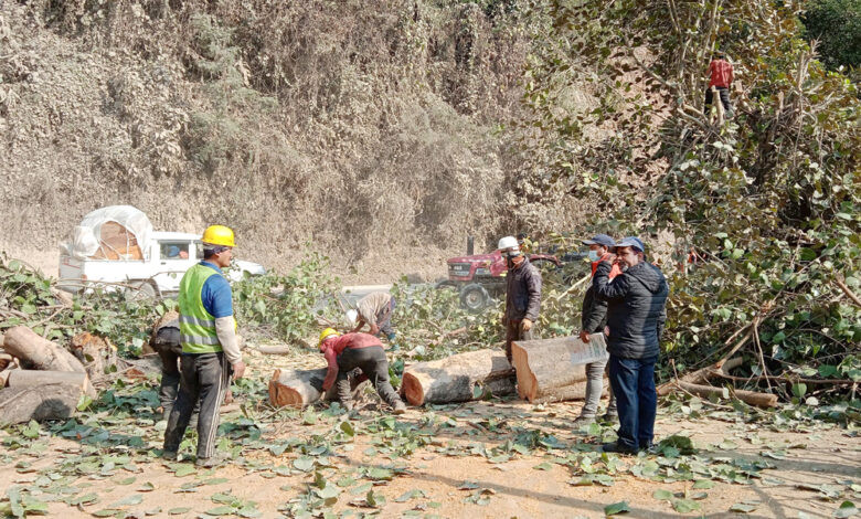पृथ्वीराजमार्ग विस्तारका लागि तनहुँमा ४६६ रुख काटिने