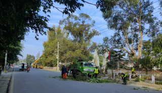 हाइटेन्सन लाइनका लागि जोखिम भएका रुखका हाँगा हटाउँदै महानगर 