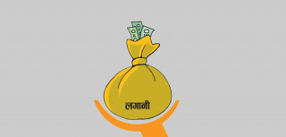 इन्भेष्टमेण्ट कम्पनीमार्फत हुने वैदेशिक लगानीमा सीमा नलाग्ने