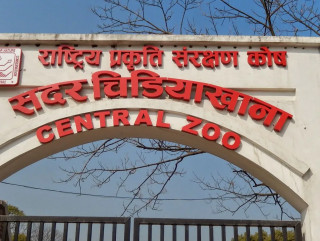 मतदानको दिन सदर चिडियाखाना बन्द हुने