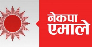 पाल्पा क्षेत्र नं १ मा एमालेका नारायणप्रसाद आचार्य विजयी