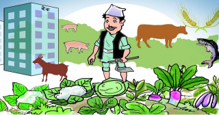 राष्ट्रिय कृषि गणनाको परिणाम अन्तिम चरणमा