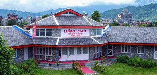 गण्डकी प्रदेशको उपसभामुखमा एमालेकी विना थापा निर्वाचित