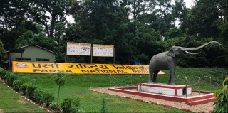 जरायो चोरी सिकारी प्रकरणमा २ सांसद र पूर्वअध्यक्षसहित ४९ जना कसुरदार ठहर