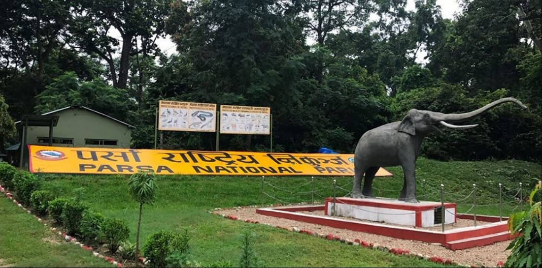 जरायो चोरी सिकारी प्रकरणमा २ सांसद र पूर्वअध्यक्षसहित ४९ जना कसुरदार ठहर