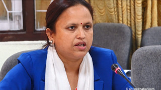 टेलिकम्युनिकेसन सेवालाई भरपर्दो र गुणस्तरीय बनाउन निर्देशन