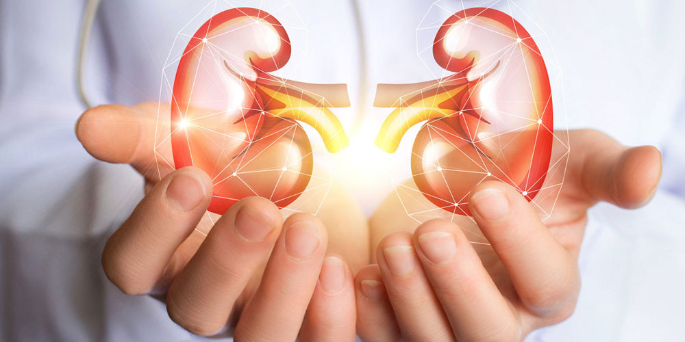 मस्तिष्क मृत्यु भएका व्यक्तिबाट मिर्गौला र कलेजोको सफल प्रत्यारोपण