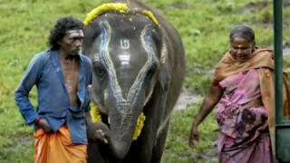 भारतीय चलचित्रले पायो यो बर्षको ओस्कार अवार्ड