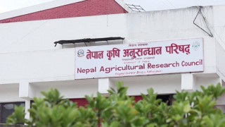 कृषि अनुसन्धान परिषद्‍ले माग्यो कर्मचारी
