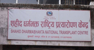 कलेजो प्रत्यारोपणमा विदेशी चिकित्सकसँगको निर्भरता हट्दै