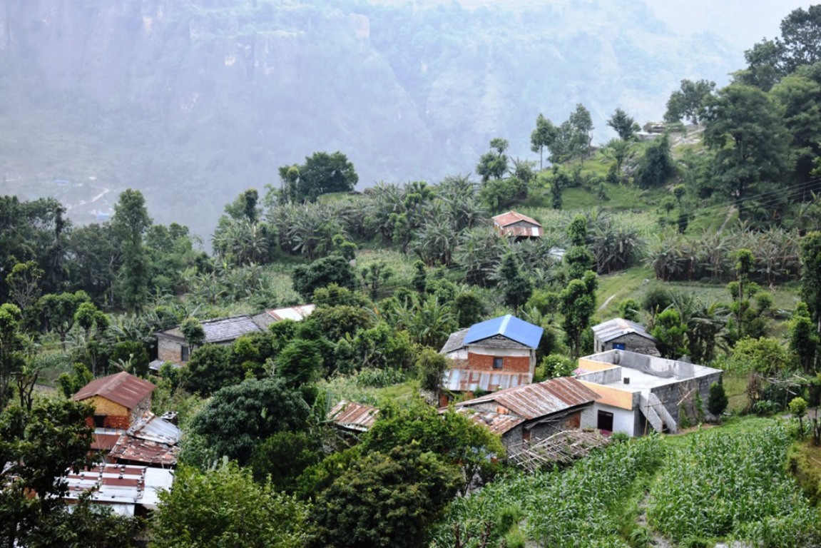 केरा बेचेर वार्षिक डेढ करोड रुपैयाँभन्दा बढी आम्दानी