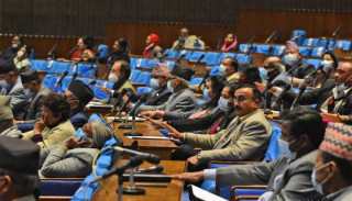 कित्ताकाट खुलाउने मन्त्रिपरिषद्को निर्णयको संसदमा विरोध