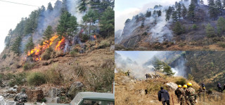 वायु प्रदूषणको प्रमुख कारक वन डढेलो