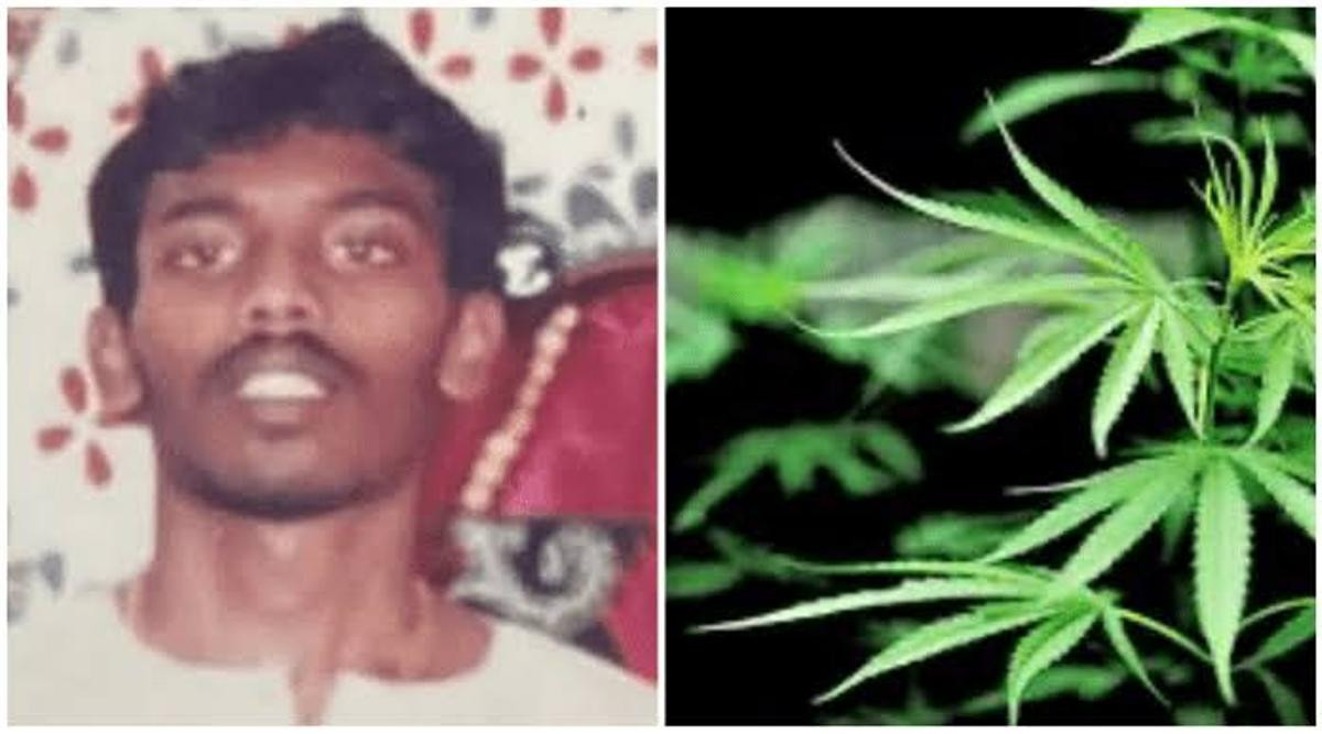 एककिलो गाँजा बोक्दा मृत्युदण्ड