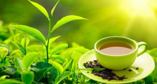 इलाममा टि टेस्टिङ, प्रतिकेजी १० हजार रुपैयाँमा चिया बिक्री