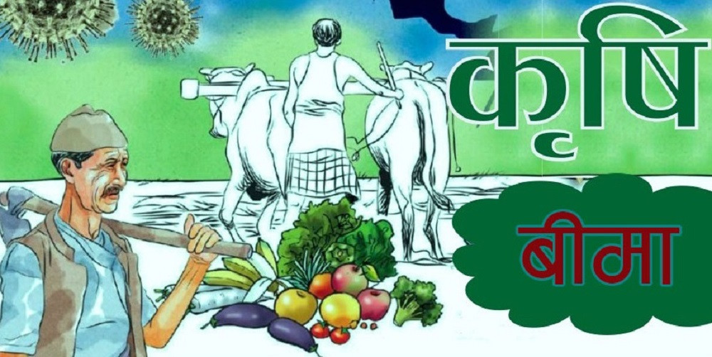 कृषि बीमालेख बन्द, दाबी भुक्तानी समेत रोक्ने बीमक संघको निर्णय