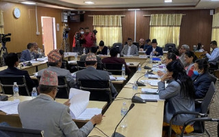 विधेयक निष्कर्षमा पुर्याउन ११ सदस्यको उपसमिति गठन