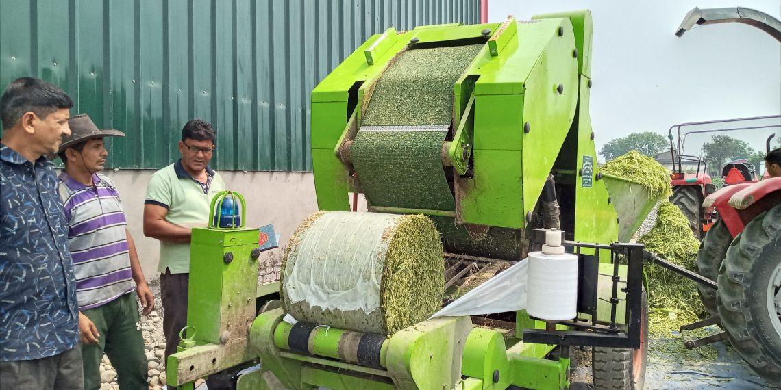 दूध र दुग्धजन्य पदार्थको उत्पादन लागत कम गर्न साइलेज उद्योग सञ्चालनमा