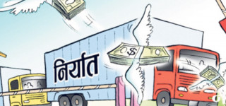 बढ्दै छ गलैचा, कार्पेट, यार्चागुम्बादेखि अम्रिसो निर्यात, ८ अर्बको अलैँची निर्यात