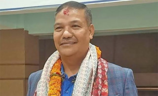 विना विभागीय रहँदै आएका चित्रकारलाई उद्योग तथा सामान्य प्रशासन मन्त्रालयको जिम्मेवारी