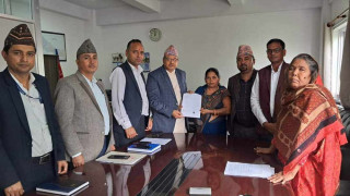  सरकार र गौर हत्याकाण्ड पीडितबीच ५ बुँदे सहमति, आन्दोलन स्थगित