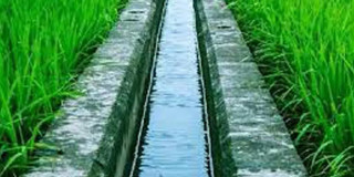 काभ्रेमा यस वर्ष सिँचाइका तीन सय ७७ योजना