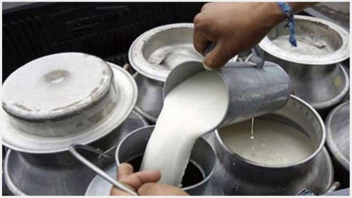 टिकट काउन्टर पछि महानगरको ध्यान डेरीमा, ३० दिने अल्टिमेटम  
