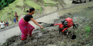 लैङ्गिक समानतामा खस्कियो नेपालको स्तर, सार्कको चौथो स्थानमा 