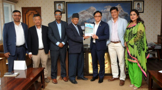 सोल्टी होटलको शेयर बेचेर जहाज किन्न वायुसेवा निगमलाई सुझाव