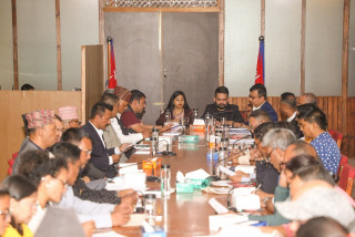 महानगरको कार्यपालिका बैठक : २१ वटा कानुन बनाउन सैद्धान्तिक सहमति