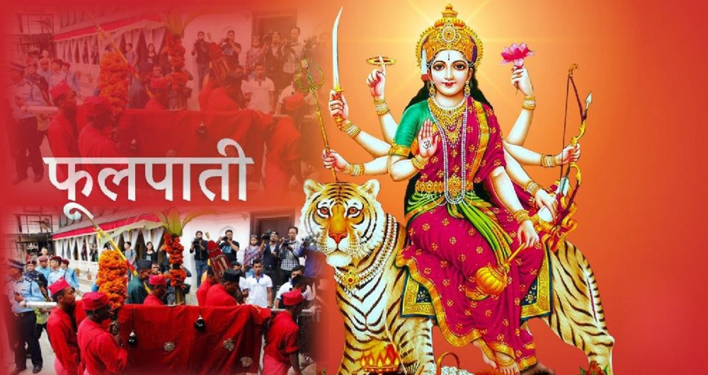दसैंको सातौं दिन : आज घरघरमा फूलपाती भित्र्याइँदै