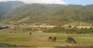 ढोरपाटन सिकार आरक्षमा चुनौती बन्दै जग्गा अतिक्रमण