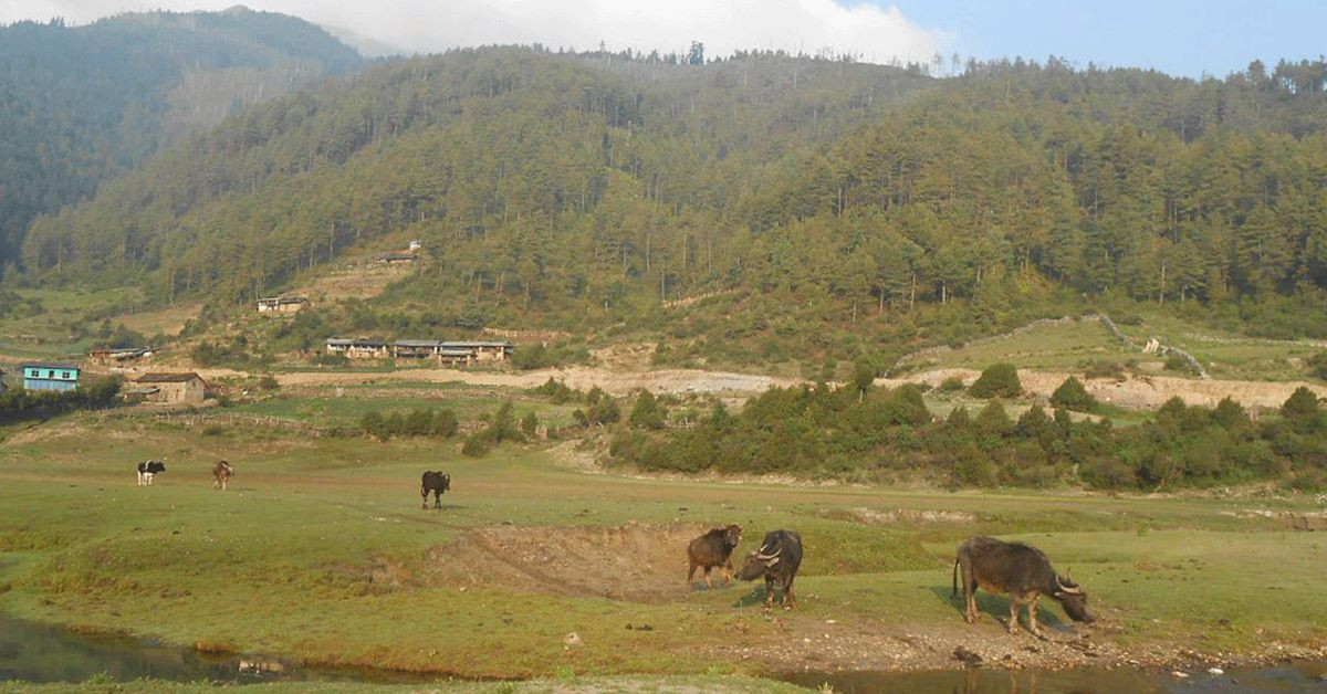ढोरपाटन सिकार आरक्षमा चुनौती बन्दै जग्गा अतिक्रमण