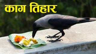 नेपालीको दोस्रो ठूलो चाड तिहार सुरु, आज काग तिहार मनाइँदै
