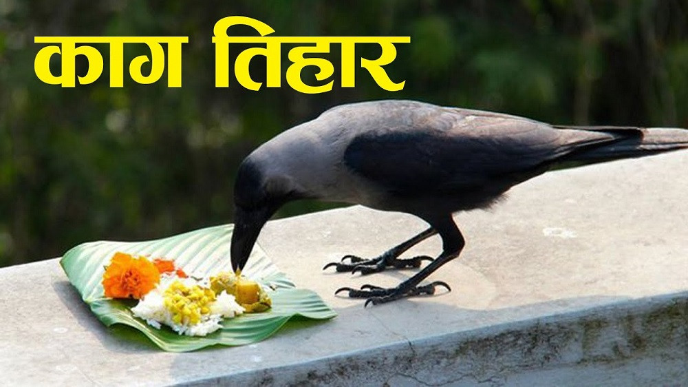 नेपालीको दोस्रो ठूलो चाड तिहार सुरु, आज काग तिहार मनाइँदै