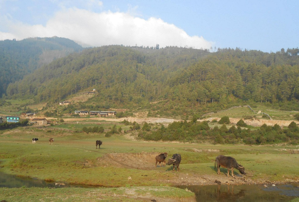 ढोरपाटन सिकार आरक्षमा ३७ हजार पर्यटक, ४७ लाख आम्दानी