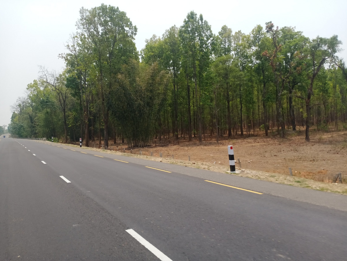 मदन भण्डारी राजमार्गमा झापा–सुनसरी खण्डका १४ पुल निर्माण