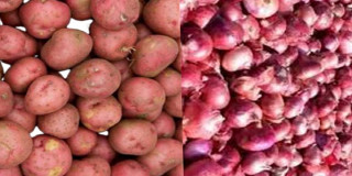 काठमाडौंमा आलु र प्याजको बिक्री ठप्प, कृत्रिम मूल्यवृद्धि