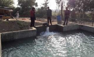 बक्यौता रकम नउठ्दा बर्दिबासको खानेपानी संस्था संकटमा, नतिर्नेमा व्यापारिक घरानाकै धेरै