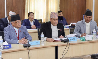 एनसेलको शेयर कारोबारमा रोक लगाउन संसदीय समितिको निर्देशन