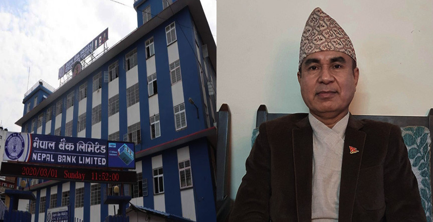नेपाल बैंकको सीईओमामा तिलकराज पाण्डेय नियुक्त