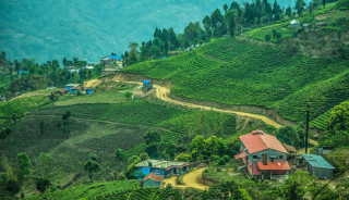 कोशी पर्यटन वर्ष : भारतीय पर्यटकको रोजाइमा पूर्वी पहाड