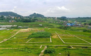 असोजमा घरजग्गा कारोबारबाट दुई अर्ब ७५ करोड राजस्व सङ्कलन