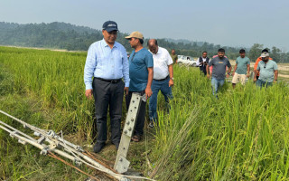 काबेली करिडोर प्रसारण लाइनको पुन : निर्माण धमाधम, तिहारअघि सञ्चालनमा ल्याउने तयारी