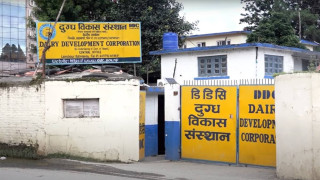 डीडीसीले महानगरलाई तिर्यो १ करोड २ लाख सम्पत्ति कर, ३१ बर्षको कर एकैपटक चुक्ता