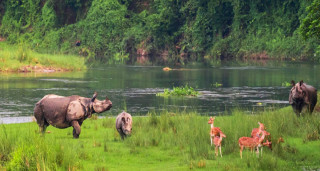 आज विश्व सिमसार दिवस : जलवायुको असर र अतिक्रमणको मारमा सिमसार