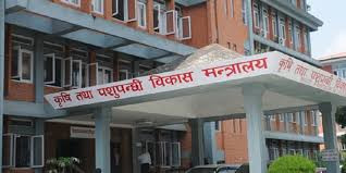 चिया तथा कफी क्षेत्रको सुधारका लागि कार्यदल गठन