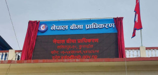 बीमा प्राधिकरणका अध्यक्ष ओझा निलम्वित