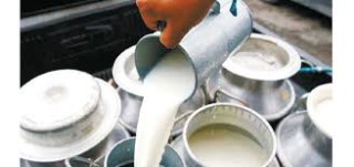 दुग्ध उत्पादक किसानका  दुग्ध विकास बोर्डले १ अर्ब र निजी क्षेत्रले ३ अर्ब भुक्तानी  गर्न बाँकी
