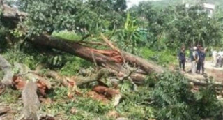हुरीले घर भत्किँदा रौतहटमा महिलाको मृत्यु
